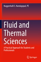 Pe Nandagopal, Nuggenhalli S Nandagopal PE - Fluid and Thermal Sciences