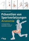 Erik Meira, David Potach - Prävention von Sportverletzungen - Anatomie