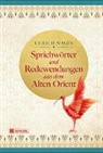 Ulrich Magin - Sprichwörter und Redewendungen aus dem Alten Orient