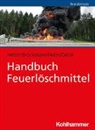 Jan-Wilhelm Brockmann, Sebast Heller, Sebastian Heller, Ralf Hetzer, Silke Oelze - Handbuch Feuerlöschmittel