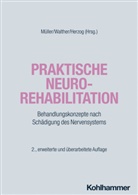 Jürgen Herzog, Friedemann Müller, Ernst Walther - Praktische Neurorehabilitation