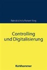 Robert Rieg, Patrick Ulrich - Controlling und Digitalisierung