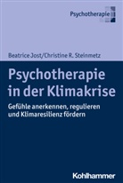 Beatrice Jost, Christine Steinmetz, Christine R Steinmetz, Christine R. Steinmetz - Psychotherapie in der Klimakrise