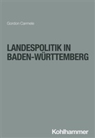 Gordon Carmele, Siegfried Frech, Philipp Salamon-Menger, Helmar Schöne - Landespolitik in Baden-Württemberg