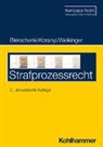 Lars Bierschenk, Johannes Koranyi, Seba Weikinger, Sebastian Weikinger, Dieter Krimphove - Strafprozessrecht