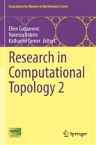 Ellen Gasparovic, Vanessa Robins, Katharine Turner - Research in Computational Topology 2