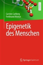 Carlberg, Carsten Carlberg, Ferdinand Molnár - Epigenetik des Menschen