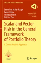 Pedro Júdice, Stanislaus Maier-Paape, Andr Platen, Andreas Platen, Qiji Jim Zhu - Scalar and Vector Risk in the General Framework of Portfolio Theory