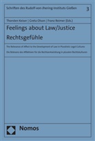 Thorsten Keiser, Greta Olson, Franz Reimer - Feelings about Law/Justice. Rechtsgefühle