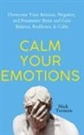 Nick Trenton - Calm Your Emotions