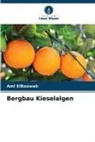 Aml ElBaowab - Bergbau Kieselalgen