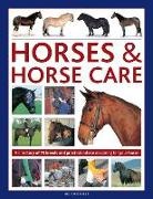 Judith Draper, Draper Judith - Horses & Horse Care