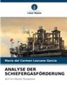 María del Carmen Lascano García - ANALYSE DER SCHIEFERGASFÖRDERUNG