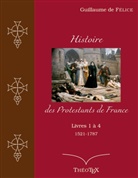 Guillaume De Félice - Histoire des Protestants de France, livres 1 à 4 (1521-1787)