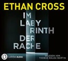 Ethan Cross, Thomas Balou Martin - Im Labyrinth der Rache, 6 Audio-CD (Audio book)