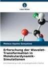 Mateus Aquino Gonçalves - Erforschung der Wavelet-Transformation in Molekulardynamik-Simulationen