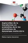 Mateus Aquino Gonçalves - Exploration de la transformée en ondelettes dans les simulations de dynamique moléculaire