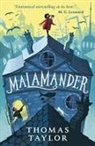 Thomas Taylor - Malamander