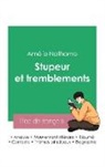 Amélie Nothomb - Réussir son Bac de français 2023 : Analyse du roman Stupeur et tremblements de Amélie Nothomb