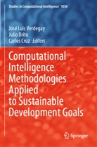 Julio Brito, Carlos Cruz, José Luis Verdegay - Computational Intelligence Methodologies Applied to Sustainable Development Goals