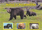 Wolfgang Förster - Bären in Nordamerika