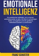 Franz Schuster - Emotionale Intelligenz