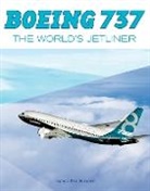 Daniel Dornseif - Boeing 737