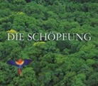 Joseph Haydn - Die Schöpfung, 2 Audio-CDs + Buch (Audio book)