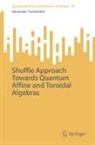 Alexander Tsymbaliuk, Oleksandr Tsymbaliuk - Shuffle Approach Towards Quantum Affine and Toroidal Algebras