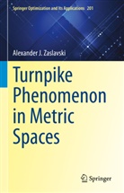 Alexander J Zaslavski, Alexander J. Zaslavski - Turnpike Phenomenon in Metric Spaces