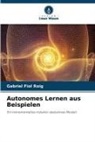 Gabriel Fiol Roig - Autonomes Lernen aus Beispielen