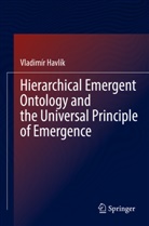 Vladimír Havlík - Hierarchical Emergent Ontology and the Universal Principle of Emergence