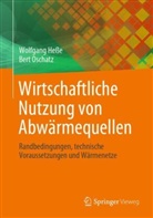 Wolfgang Hesse, Bert Oschatz - Wirtschaftliche Nutzung von Abwärmequellen