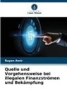 Rayan Amir - Quelle und Vorgehensweise bei illegalen Finanzströmen und Bekämpfung