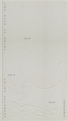 Ana Gómez de León Lopez, Ma Gómez de León Lopez, Maria Gómez de León Lopez, Ana Gómez de León Lopez, Maria Gómez de León Lopez, Zumtobel Lighting GmbH - Frida Escobedo - The Book of Hours