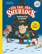 Pascal Prévot, Art Grootfontein - Ein Fall für Sherlock - Weihnachten in Gefahr!