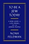 Noah Feldman - To Be a Jew Today