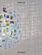 Sarah Sze - Sarah Sze: Timelapse