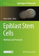 Pierre Osteil - Epiblast Stem Cells