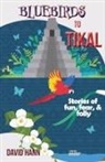 David Hann - Bluebirds to Tikal