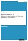 Anonym, Anonymous - Kooperationsformen im Influencer-Marketing. Vor- und Nachteile für (kleine) Unternehmen