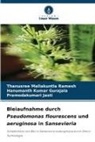 Hanumanth Gurajala, Hanumanth Kumar Gurajala, Pramodakumari Jasti, Thanusree Mallakuntla Ramesh - Bleiaufnahme durch Pseudomonas flourescens und aeruginosa in Sansevieria