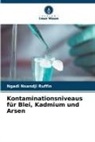 Ngadi Nsandji Ruffin - Kontaminationsniveaus für Blei, Kadmium und Arsen