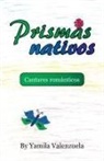 Yamila Valenzuela - Prismas Nativos
