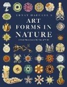 Ernst Haeckel, Adolf Glitsch, Ernst Haeckel - Ernst Haeckel's Art Forms in Nature
