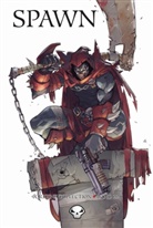 Jason Shawn Alexander, Szymon Kudranski, Tom Leveen, Todd McFarlane, Darragh Savage - Spawn Origins Collection