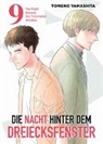 Tomoko Yamashita - Die Nacht hinter dem Dreiecksfenster - The Night Beyond the Tricornered Window 09