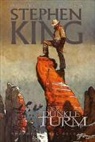 Laurence Campbell, Laurence u a Campbell, Peter David, Robin Furth, Richard Isanove, Stephen King... - Stephen Kings Der Dunkle Turm Deluxe
