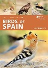Carlos Bocos Gonzalez, James Lowen, Lowen James - Birds of Spain