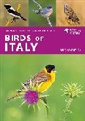 Daniele Occhiato, Marianne Taylor, Taylor Marianne - Birds of Italy